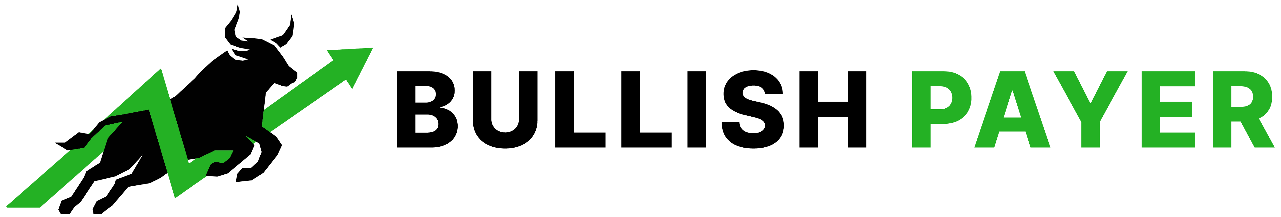 Bullish Payer Logo